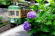 6/26号へ