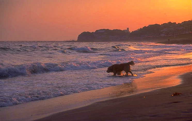 ���N���b�N�F�g�b�v�y�[�W�ɖ߂�A�E�N���b�N�F�摜����荞�ނƂ����ł��܂�