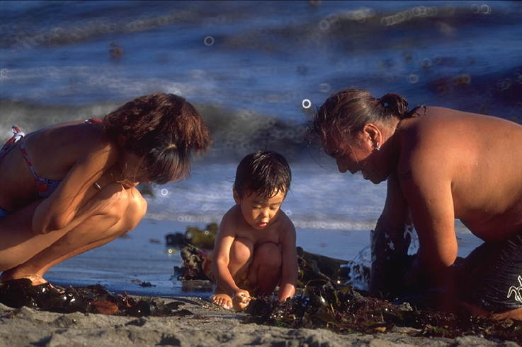 ���N���b�N:�g�b�v�y�[�W�ɖ߂�A�E�N���b�N:�摜����荞�ނƂ����ł��܂�