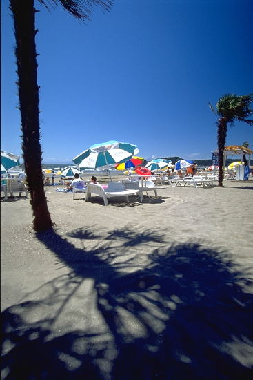 ���N���b�N�F�g�b�v�y�[�W�ɖ߂�A�E�N���b�N�F�摜����荞�ނƂ����ł��܂�