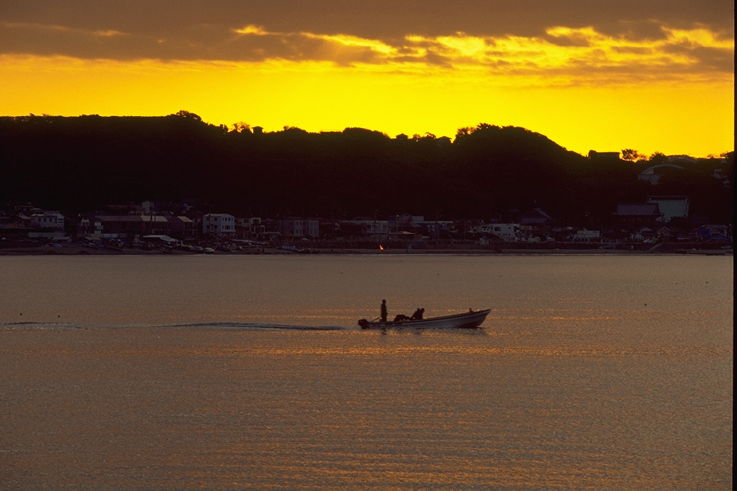 ���N���b�N:�g�b�v�y�[�W�ɖ߂�A�E�N���b�N:�摜����荞�ނƂ����ł��܂�