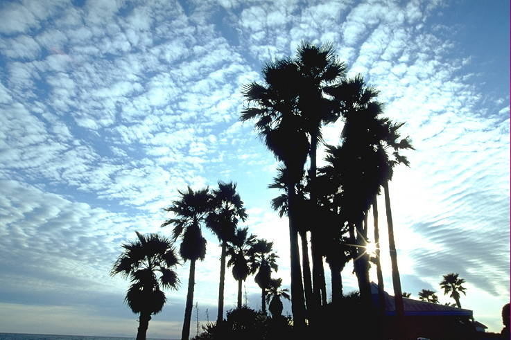 ���N���b�N�F�g�b�v�y�[�W�ɖ߂�A�E�N���b�N�F�摜����荞�ނƂ����ł��܂�