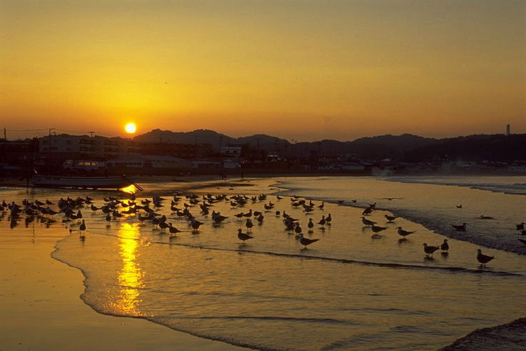 ���N���b�N�F�g�b�v�y�[�W�ɖ߂�A�E�N���b�N�F�摜����荞�ނƂ����ł��܂�