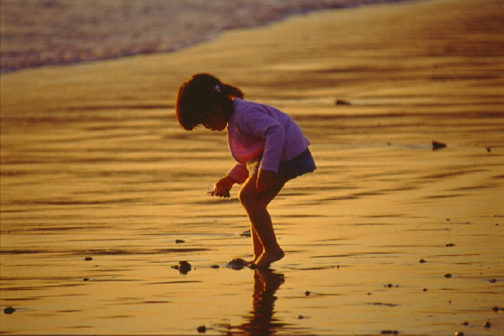 ���N���b�N�F�g�b�v�y�[�W�ɖ߂�A�E�N���b�N�F�摜����荞�ނƂ����ł��܂�