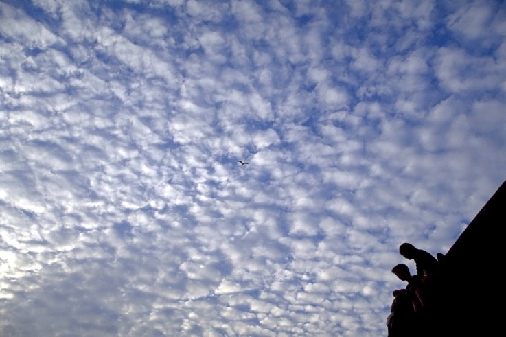 ���N���b�N�F�g�b�v�y�[�W�ɖ߂�A�E�N���b�N�F�摜����荞�ނƂ����ł��܂�