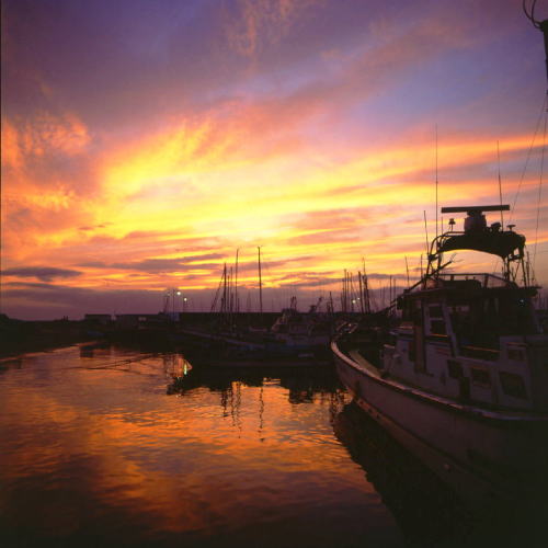 ���N���b�N�F�g�b�v�y�[�W�ɖ߂�A�E�N���b�N�F�摜����荞�ނƂ����ł��܂�