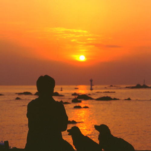 ���N���b�N�F�g�b�v�y�[�W�ɖ߂�A�E�N���b�N�F�摜����荞�ނƂ����ł��܂�