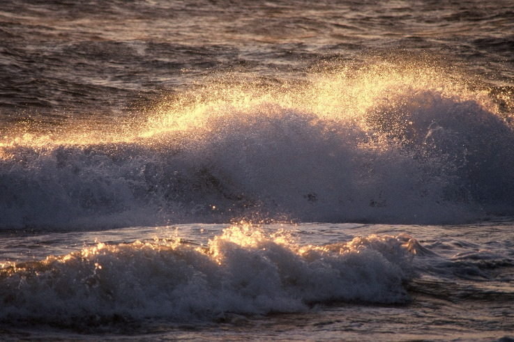 ���N���b�N�F�g�b�v�y�[�W�ɖ߂�A�E�N���b�N�F�摜����荞�ނƂ����ł��܂�