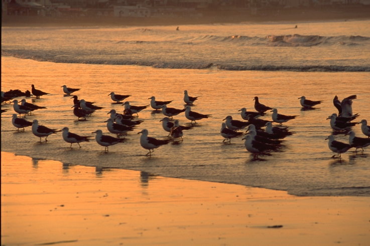 ���N���b�N:�g�b�v�y�[�W�ɖ߂�A�E�N���b�N:�摜����荞�ނƂ����ł��܂�