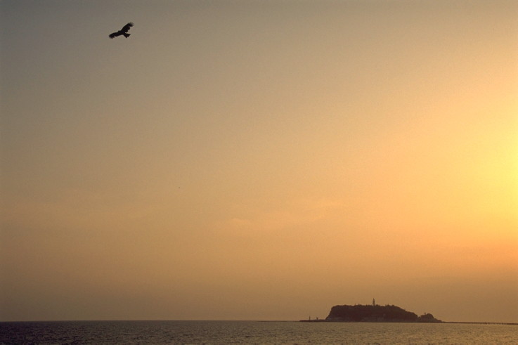 ���N���b�N�F�g�b�v�y�[�W�ɖ߂�A�E�N���b�N�F�摜����荞�ނƂ����ł��܂�