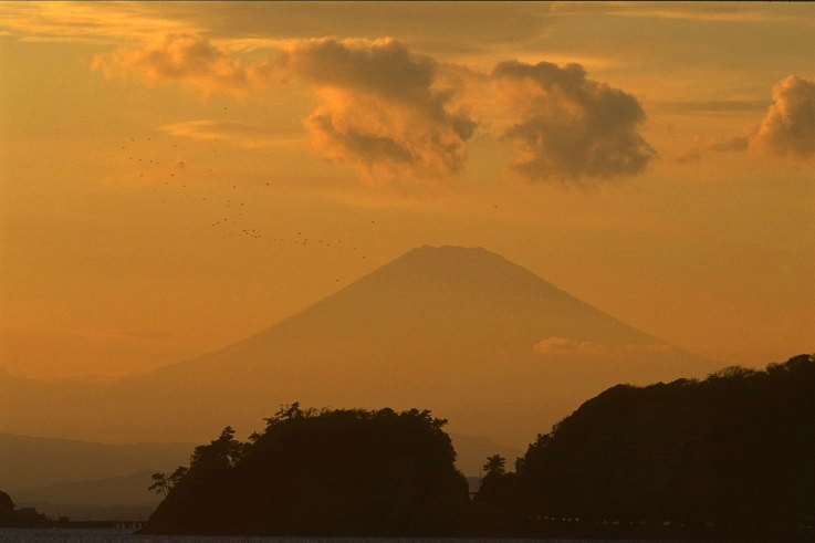 ���N���b�N�F�g�b�v�y�[�W�ɖ߂�A�E�N���b�N�F�摜����荞�ނƂ����ł��܂�