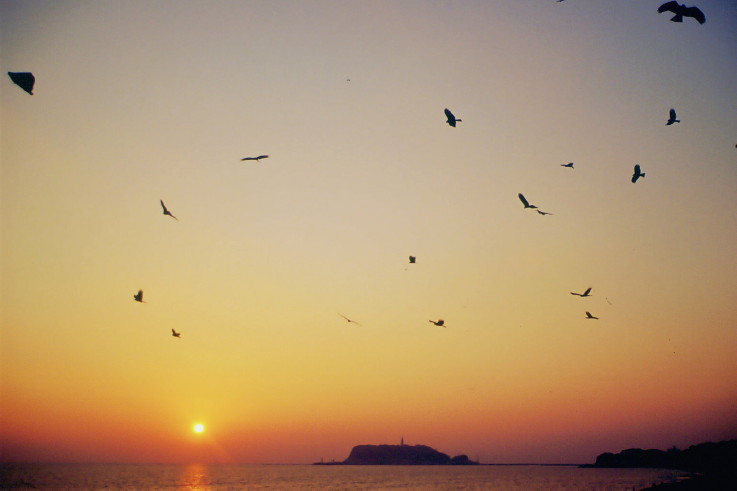 ���N���b�N�F�g�b�v�y�[�W�ɖ߂�A�E�N���b�N�F�摜����荞�ނƂ����ł��܂�