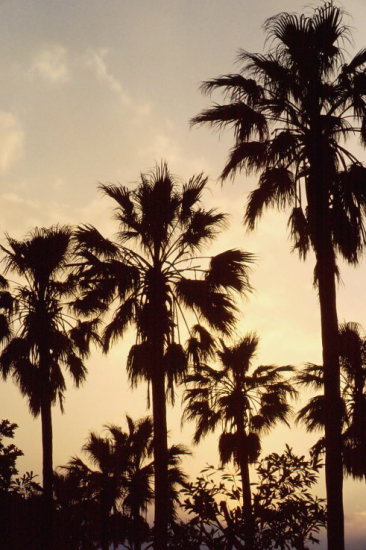 ���N���b�N�F�g�b�v�y�[�W�ɖ߂�A�E�N���b�N�F�摜����荞�ނƂ����ł��܂�