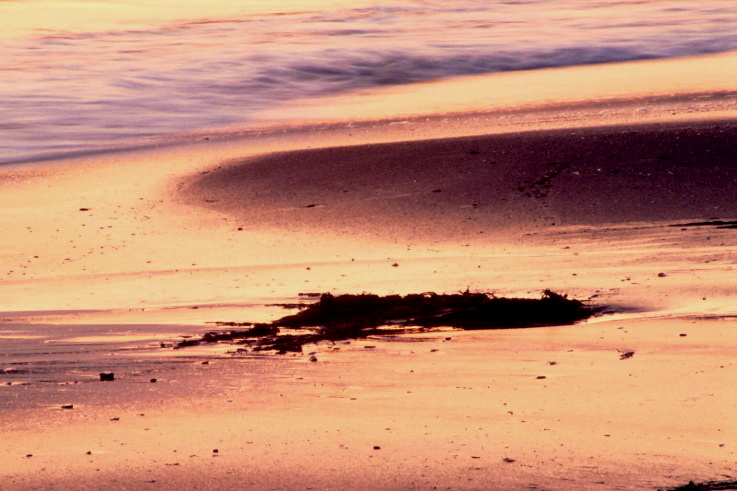 ���N���b�N�F�g�b�v�y�[�W�ɖ߂�A�E�N���b�N�F�摜����荞�ނƂ����ł��܂�