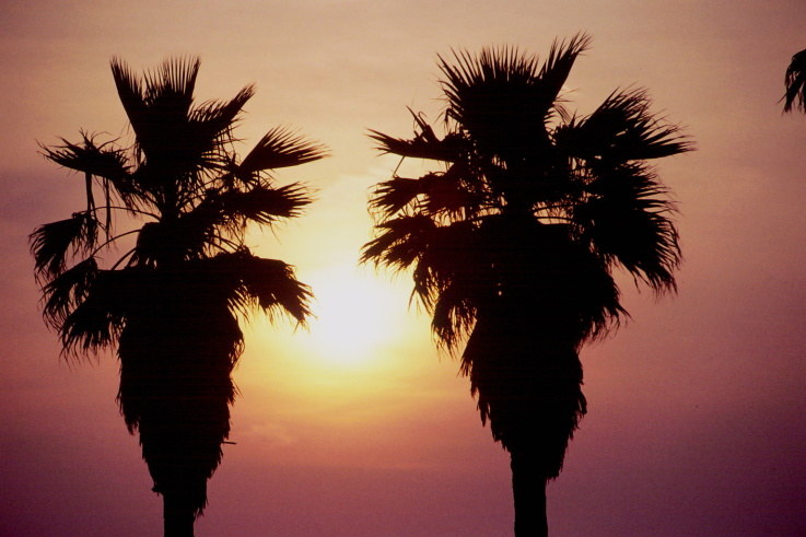 ���N���b�N�F�g�b�v�y�[�W�ɖ߂�A�E�N���b�N�F�摜����荞�ނƂ����ł��܂�