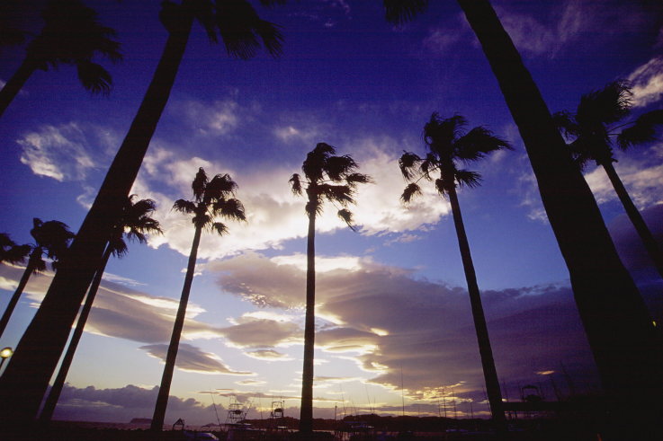 ���N���b�N�F�g�b�v�y�[�W�ɖ߂�A�E�N���b�N�F�摜����荞�ނƂ����ł��܂�