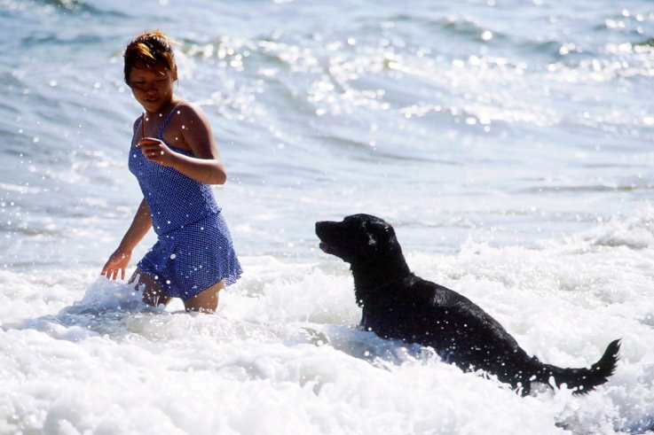 ���N���b�N�F�g�b�v�y�[�W�ɖ߂�A�E�N���b�N�F�摜����荞�ނƂ����ł��܂�