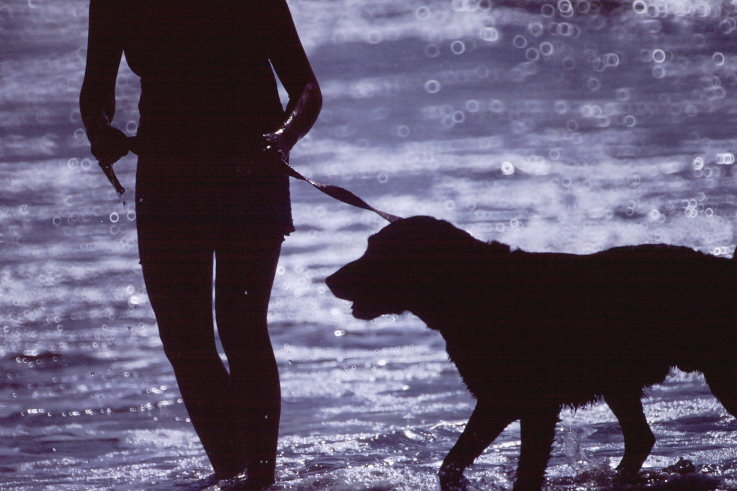 ���N���b�N�F�g�b�v�y�[�W�ɖ߂�A�E�N���b�N�F�摜����荞�ނƂ����ł��܂�