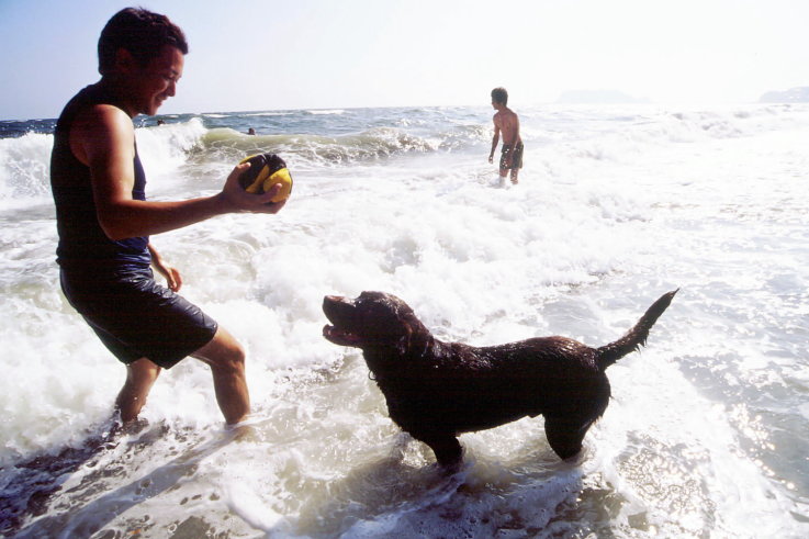 ���N���b�N�F�g�b�v�y�[�W�ɖ߂�A�E�N���b�N�F�摜����荞�ނƂ����ł��܂�